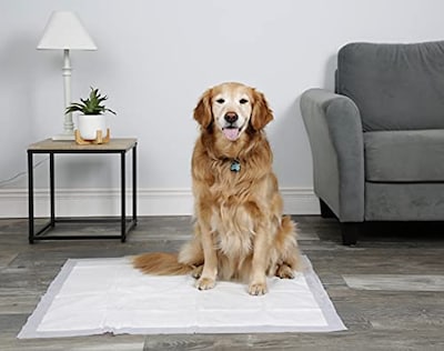 Foto 4 | Foto 4 | Almohadillas Para Perros Hartz Home Protection Que Eliminan El Olor A Lavanda, 3xl - Venta Internacional.