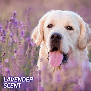 Foto 7 | Foto 7 | Almohadillas Para Perros Hartz Home Protection Que Eliminan El Olor A Lavanda, 3xl - Venta Internacional.