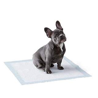 Foto 1 | Foto 1 | Almohadillas Para Orinar Amazon Basics Para Entrenar A Perros Y Cachorros A Ir Al Baño, 150 Unidades - Venta Internacional.