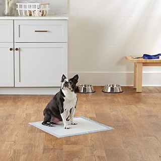 Foto 7 | Foto 7 | Almohadillas Para Orinar Amazon Basics Para Entrenar A Perros Y Cachorros A Ir Al Baño, 150 Unidades - Venta Internacional.