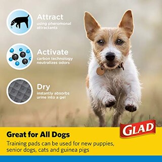 Foto 6 | Foto 6 | Almohadillas De Adiestramiento Para Cachorros Glad For Pets, Color Negro, 150 Unidades - Venta Internacional.
