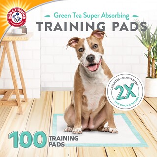 Foto 2 | Foto 2 | Almohadillas De Adiestramiento Para Perros Arm & Hammer Green Tea, 100 Unidades - Venta Internacional.