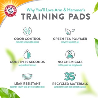 Foto 4 | Foto 4 | Almohadillas De Adiestramiento Para Perros Arm & Hammer Green Tea, 100 Unidades - Venta Internacional.