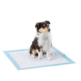 Foto 1 | Foto 1 | Almohadillas Para Orinar Para Perros Y Cachorros Amazon Basics Heavy Duty, Paquete De 50 - Venta Internacional.