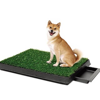 Foto 1 | Foto 1 | Inodoro Para Mascotas Sanlin Beans Imitación Césped Para Perros De Tamaño Mediano - Venta Internacional.