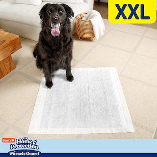 Foto 6 | Foto 6 | Almohadillas Para Perros Hartz Home Protection Miracle Guard Xxl 20 Unidades - Venta Internacional.