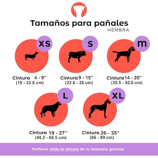 Foto 3 | Foto 3 | Pañales Lavables y Reutilizables para Perros Hembra Petting Is Caring Multicolor Set 3 Piezas Talla Xs