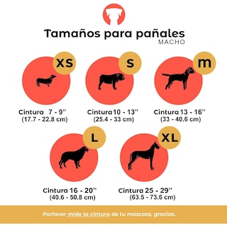 Foto 3 | Foto 3 | Pañales Lavables y Reutilizables para Perros Macho Petting Is Caring Multicolor Estampados 3 Piezas Talla S
