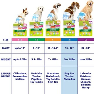 Foto 6 | Foto 6 | Pañales Desechables Para Perros Hartz Flashdry Gel Technology M 32 - Venta Internacional.