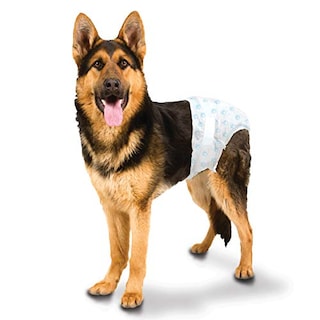 Foto 5 | Foto 5 | Pañales Desechables Para Perros Four Paws Wee-wee, 12 Unidades, L/xl - Venta Internacional.