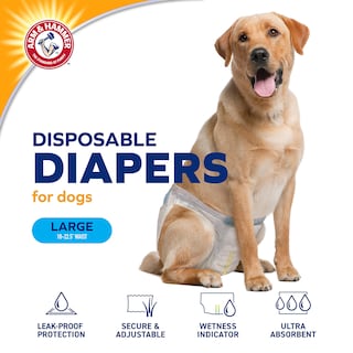 Foto 2 | Foto 2 | Pañales Para Perros Con Brazo Y Martillo Para Mascotas, Tamaño Grande, 12 Unidades - Venta Internacional.