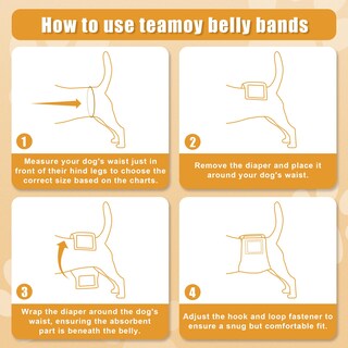 Foto 4 | Foto 4 | Pañales Reutilizables Teamoy Para Perros Machos, Paquete De 3 - Venta Internacional.