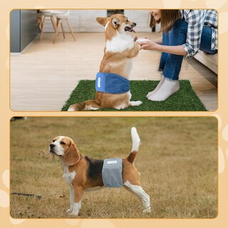 Foto 7 | Foto 7 | Pañales Reutilizables Teamoy Para Perros Machos, Paquete De 3 - Venta Internacional.