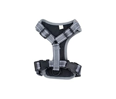 Foto 6 | Foto 6 | Arnés Tipo ''t'' Pet's Life PP96 color Anaranjado Extra Grande