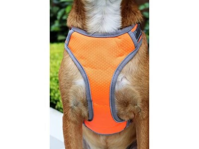 Foto 7 | Foto 7 | Arnés Tipo ''t'' Pet's Life PP96 color Anaranjado Extra Grande