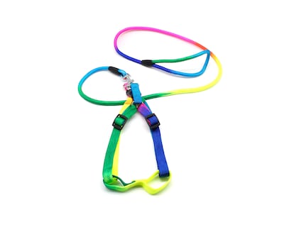 Foto 1 | Foto 1 | Pechera con Correa para Perro Bajío Pets Talla Mediana Multicolor