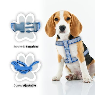 Foto 2 | Foto 2 | Kit para Mascotas Accesorios de Paseo color Azul más Plato Aluminio Resistente