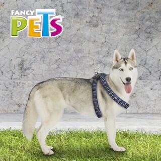 Foto 5 | Foto 5 | Arnés para Mascota Fancy Pets color Azul Tamaño Grande