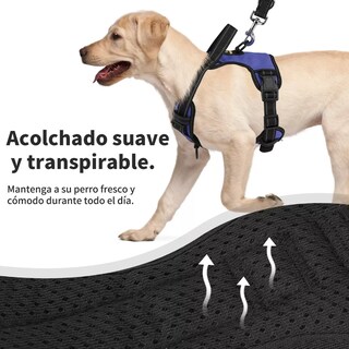 Foto 2 | Foto 2 | Pechera Arnés Regulable Con Bandas Reflectivas S Eo Safe Imports Esi-11558 Azul para Perro