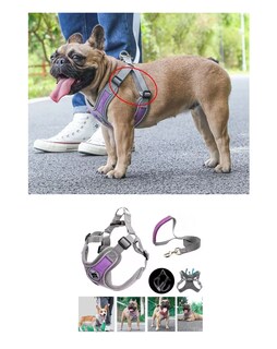 Foto 3 | Foto 3 | Pecheras Arnés Con Correa Y Bandas Reflectantes Para Perros Talla L Violeta Gris