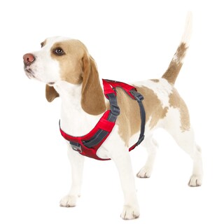 Foto 1 | Foto 1 | Arnés Para Perros Outward Hound Boulder Adventure Rojo Pequeño - Venta Internacional.
