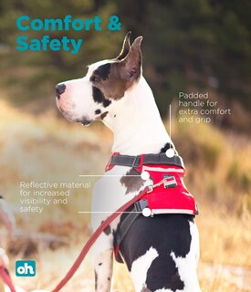 Foto 4 | Foto 4 | Arnés Para Perros Outward Hound Boulder Adventure Rojo, Tamaño Grande - Venta Internacional.