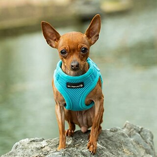 Foto 1 | Foto 1 | Mr. Peanut's Puptrek Small Dog/cat Soft Mesh Step En Harne - Venta Internacional.