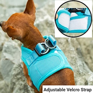 Foto 4 | Foto 4 | Mr. Peanut's Puptrek Small Dog/cat Soft Mesh Step En Harne - Venta Internacional.