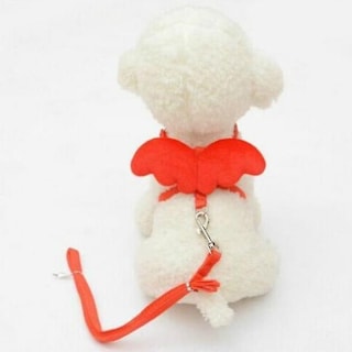 Foto 1 | Foto 1 | Correas Para Perros Bird Cage Bird Baths Con Forma De Ángel, Color Rojo, Talla S - Venta Internacional.