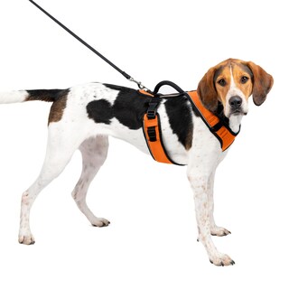 Foto 1 | Foto 1 | Arnés Para Perros Petsafe Easysport Ajustable, Acolchado, Naranja, Grande - Venta Internacional.