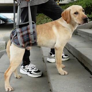 Foto 1 | Foto 1 | Cinturón Auxiliar Para Perros Ancianos Discapacitados Lesionados Con Correas Para Piernas - Venta Internacional.