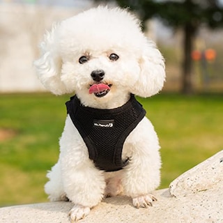 Foto 1 | Foto 1 | Mr. Peanut's Puptrek Small Dog/cat Soft Mesh Step En Harne - Venta Internacional.