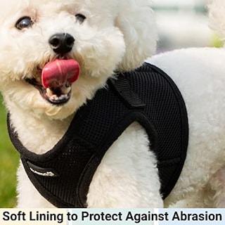 Foto 3 | Foto 3 | Mr. Peanut's Puptrek Small Dog/cat Soft Mesh Step En Harne - Venta Internacional.