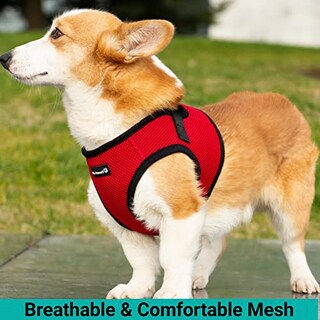 Foto 7 | Foto 7 | Mr. Peanut's Puptrek Small Dog/cat Soft Mesh Step En Harne - Venta Internacional.