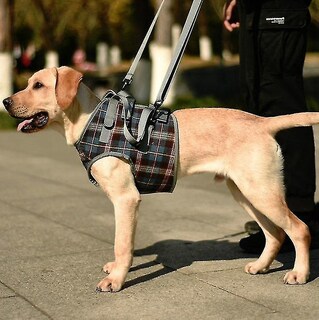 Foto 1 | Foto 1 | Cinturón Auxiliar Para Perros Ancianos Discapacitados Lesionados Con Correas Para Piernas - Venta Internacional.
