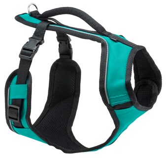 Foto 1 | Foto 1 | Arnés Petsafe Easysport Con Correas Acolchadas Ajustables Para Perros - Venta Internacional.