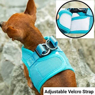 Foto 4 | Foto 4 | Mr. Peanut's Puptrek Small Dog/cat Soft Mesh Step En Harne - Venta Internacional.