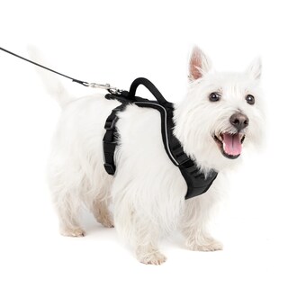 Foto 1 | Foto 1 | Arnés Para Perros Petsafe Easysport Ajustable, Acolchado Con Asa - Venta Internacional.