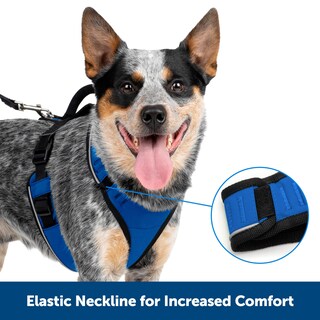 Foto 2 | Foto 2 | Arnés Para Perros Petsafe Easysport Ajustable, Acolchado Con Asa - Venta Internacional.