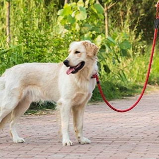 Foto 1 | Foto 1 | Correa De Entrenamiento Duradera Sanlin Beans Para Perros, 125 Cm, Color Rojo - Venta Internacional.