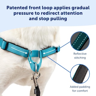Foto 3 | Foto 3 | Arnés Para Perros Petsafe Easy Walk Deluxe No Pull Ocean Blue - Venta Internacional.