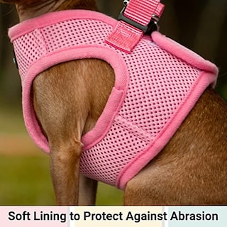 Foto 3 | Foto 3 | Mr. Peanut's Puptrek Small Dog/cat Soft Mesh Step En Harne - Venta Internacional.