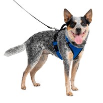 Arnés Para Perros Petsafe Easysport, Ajustable, Acolchado, Azul Mediano - Venta Internacional.