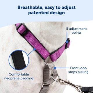 Foto 4 | Foto 4 | Arnés Para Perros Petsafe 3 En 1, Sin Tirones, Reflectante, Color Ciruela, Tamaño Grande - Venta Internacional.