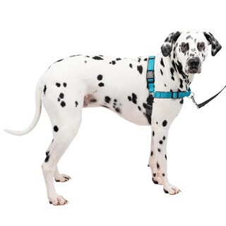 Foto 1 | Foto 1 | Arnés Para Perros Petsafe Easy Walk Deluxe Sin Tirar, Grande, Ocean/bla - Venta Internacional.