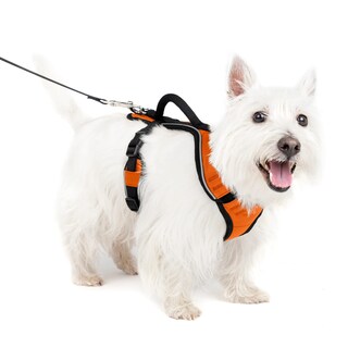 Foto 1 | Foto 1 | Arnés Para Perros Petsafe Easysport Naranja Ajustable Pequeño - Venta Internacional.