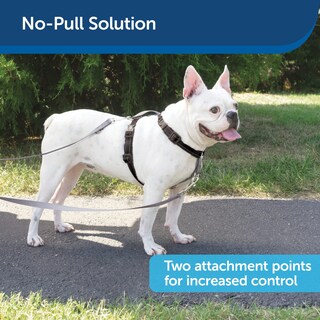 Foto 5 | Foto 5 | Arnés Petsafe 3 En 1 Con Correa De Control De Dos Puntos Para Perros - Venta Internacional.