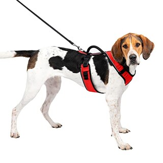 Foto 1 | Foto 1 | Arnés Para Perros Petsafe Easysport Ajustable Con Mango De Control - Venta Internacional.