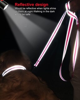 Foto 4 | Foto 4 | Correa Para Perros Joytale De Nailon Reflectante De Doble Cara, 6 Pies - Venta Internacional.