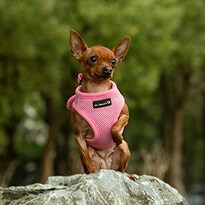 Mr. Peanut's Puptrek Small Dog/cat Soft Mesh Step En Harne - Venta Internacional.